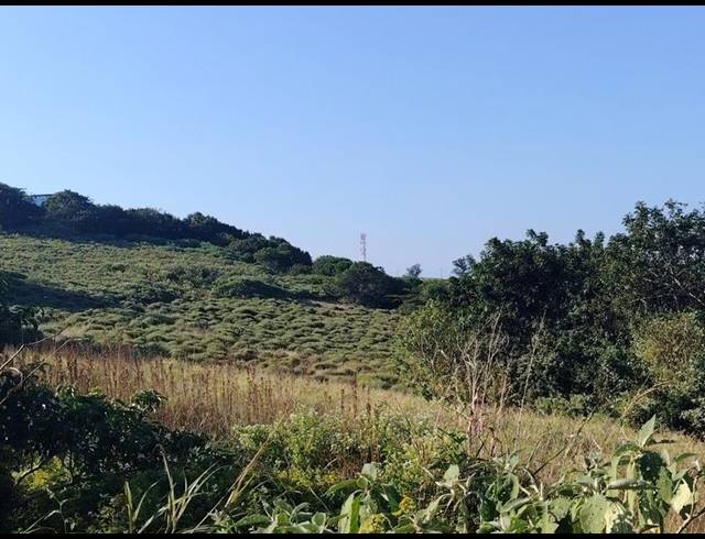 LAND FOR SALE IN GENAZZANO